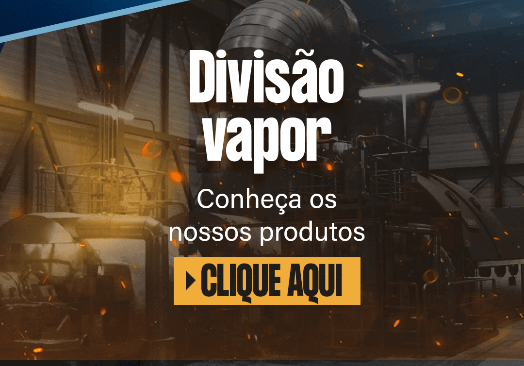 Divisão Vapor